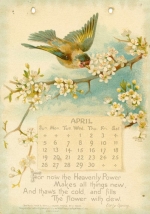 Beautiful Illustrated Calendar