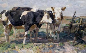 Cow Poems