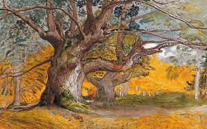Oak Tree Poems