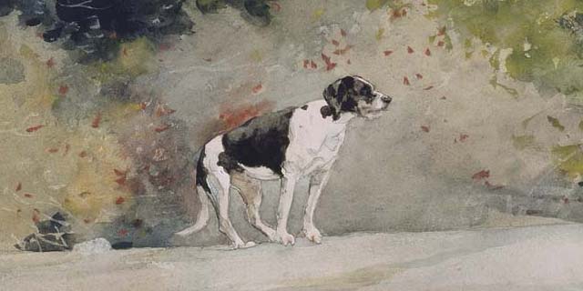 Dog Poems | Discover Poetry