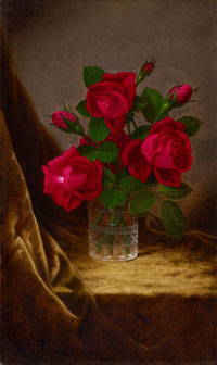 Jacqueminot Roses